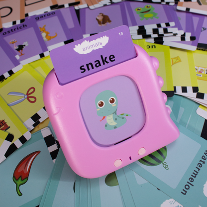 LECTOR DE TARJETAS OTRO IDIOMA NIÑOS